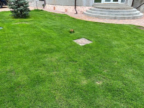 Люк под брусчатку Брус Ли Стальной Люк под брусчатку Брус Ли Стальной